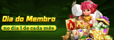 Interface Premium 516bet